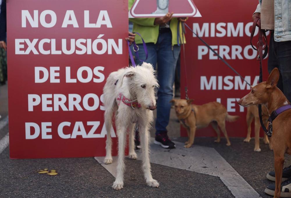 UP vuelve a criticar al PSOE y esta vez por mantener la exclusión de los perros de caza de la Ley de Bienestar Animal