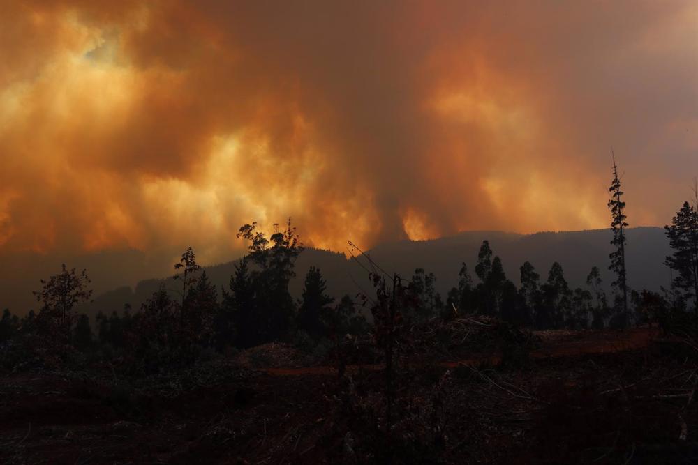 Chile bestätigt mindestens 23 Tote bei einer Welle von Waldbränden