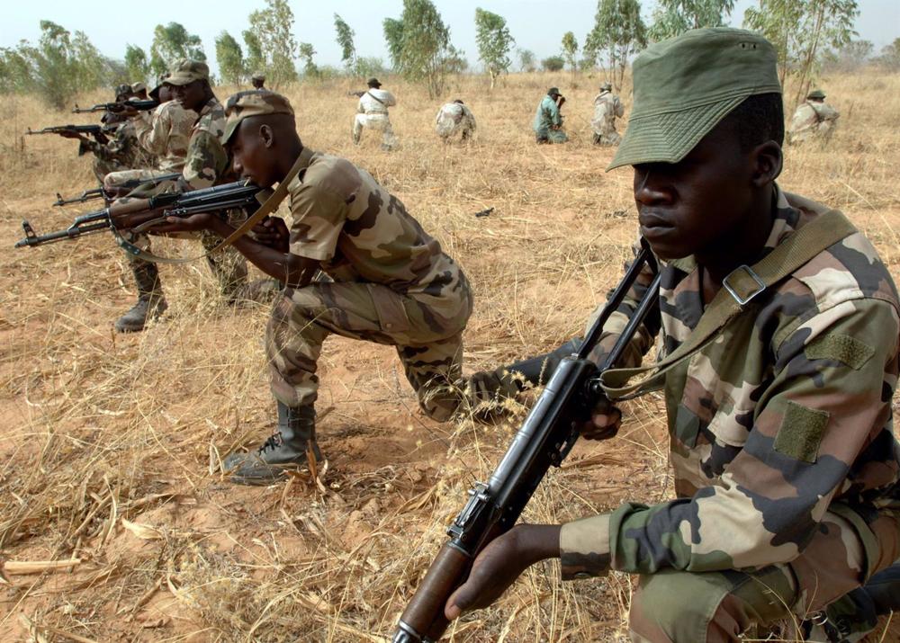 Niger Army neutralizes 79 suspected terrorists near Mali border