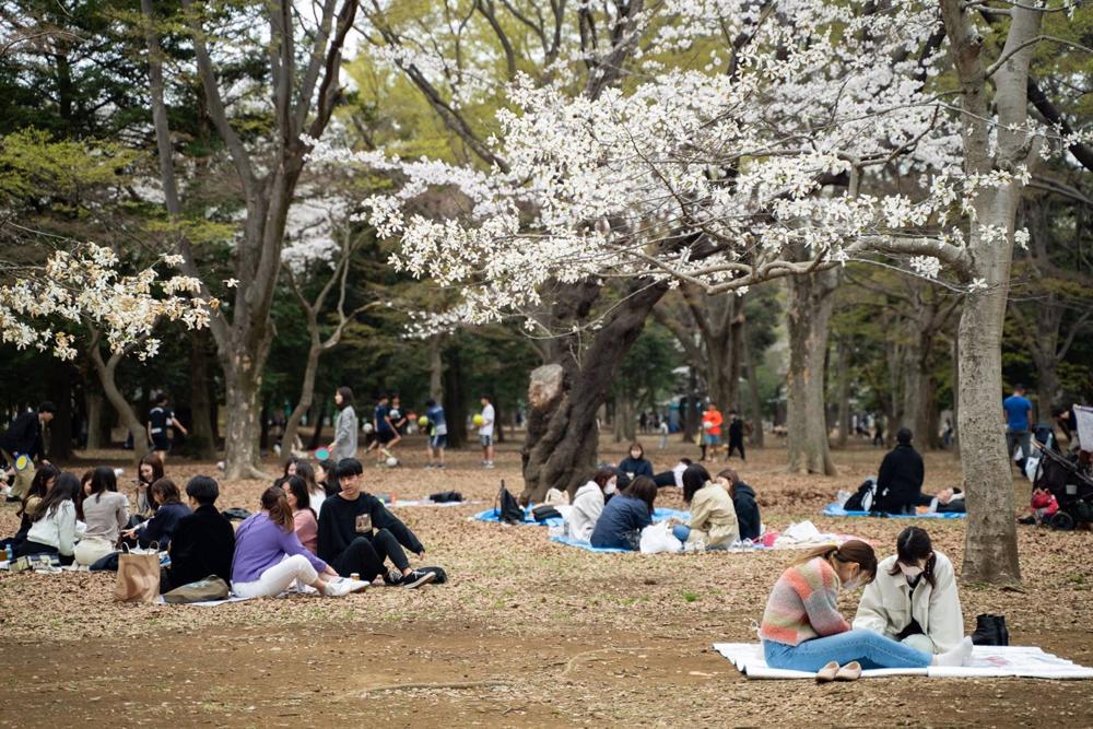 Japón eleva de 60 a 61 años la edad de jubilación del funcionariado