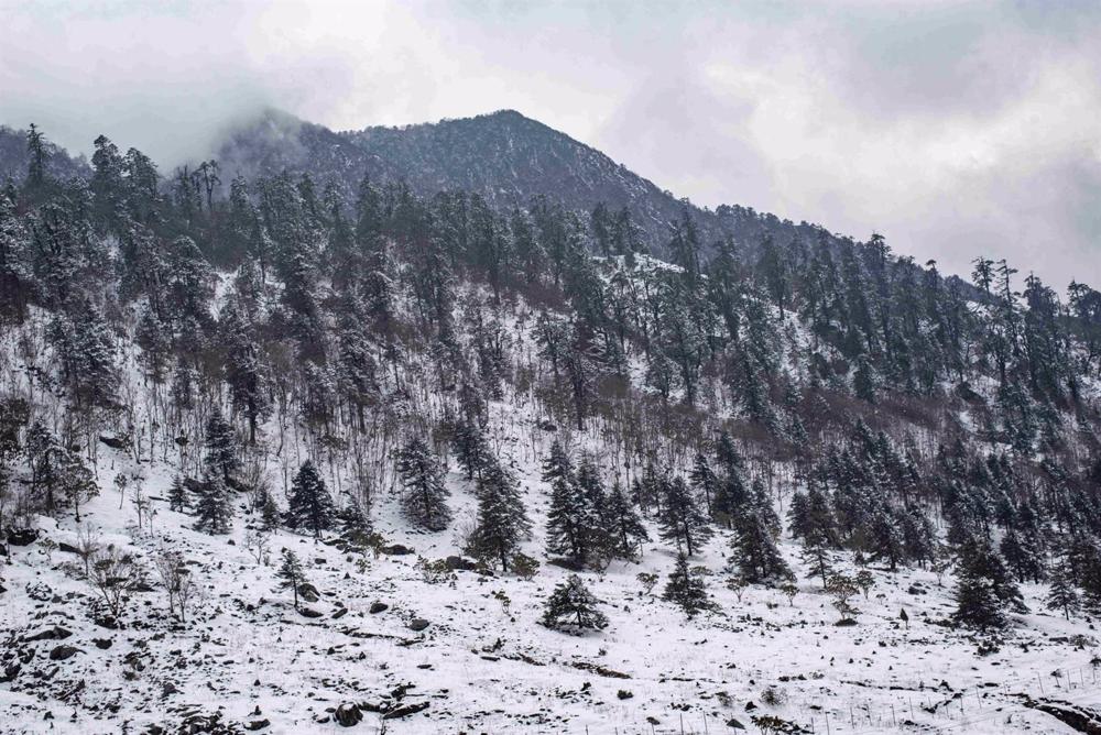 At least seven dead after snow avalanche in Himalayas