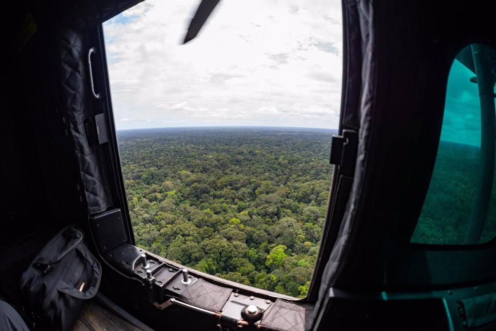 El Ejército de Colombia asegura estar cerca de los menores desparecidos en la selva a comienzos de mayo