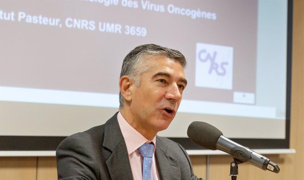 Descenso en los diagnósticos de infección por retrovirus humanos se estanca en España, dice estudio coordinado por UNIR